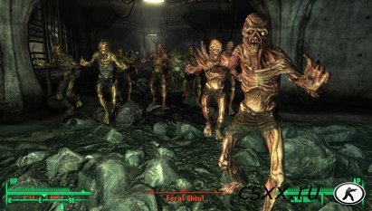 Fallout 3 Chinese